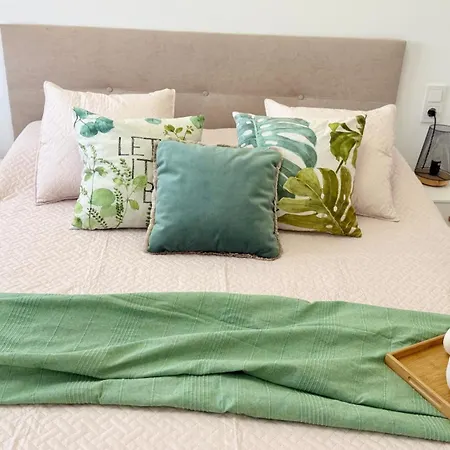 Mg Puerto Centro Torrevieja