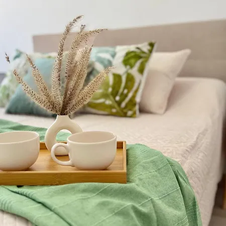 Mg Puerto Centro Apartment Torrevieja