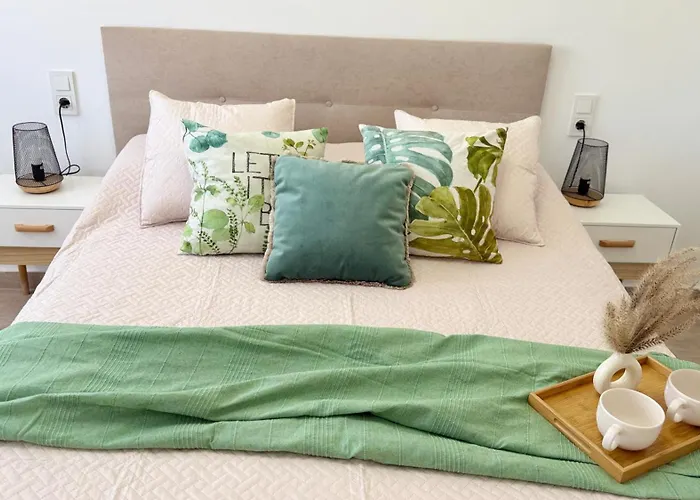 Mg Puerto Centro Torrevieja